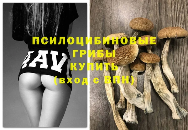 винт Белокуриха