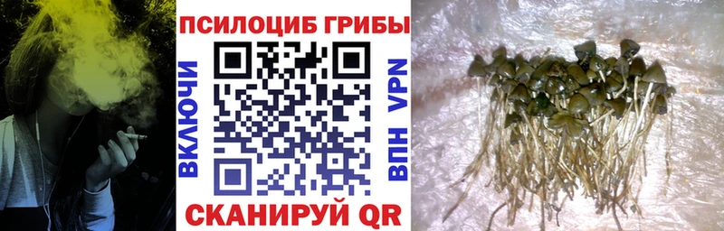 где купить наркоту  blacksprut ТОР  Псилоцибиновые грибы MAGIC MUSHROOMS  Севск 